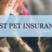 Best Pet Insurance